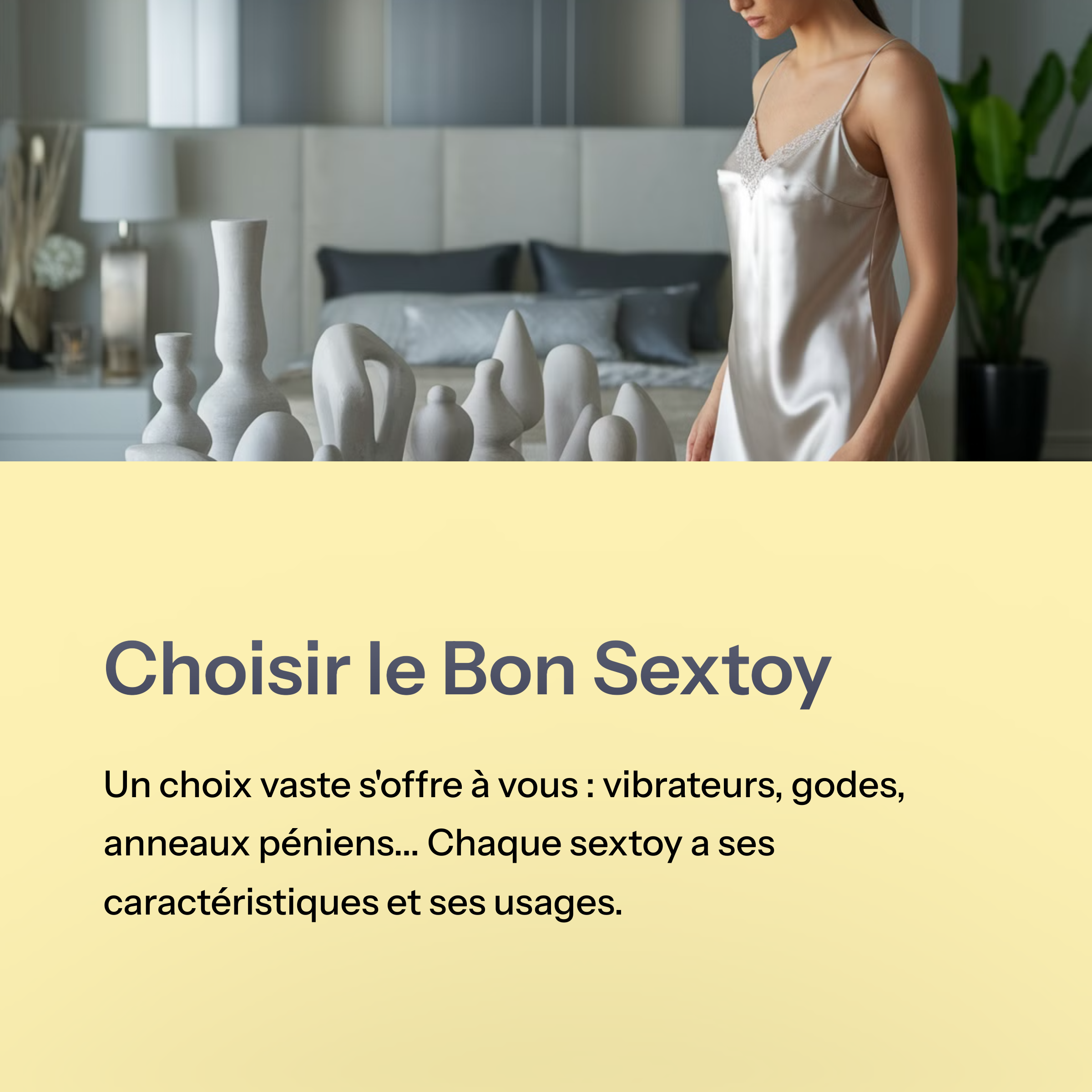 Comment Choisir son Sextoy?
