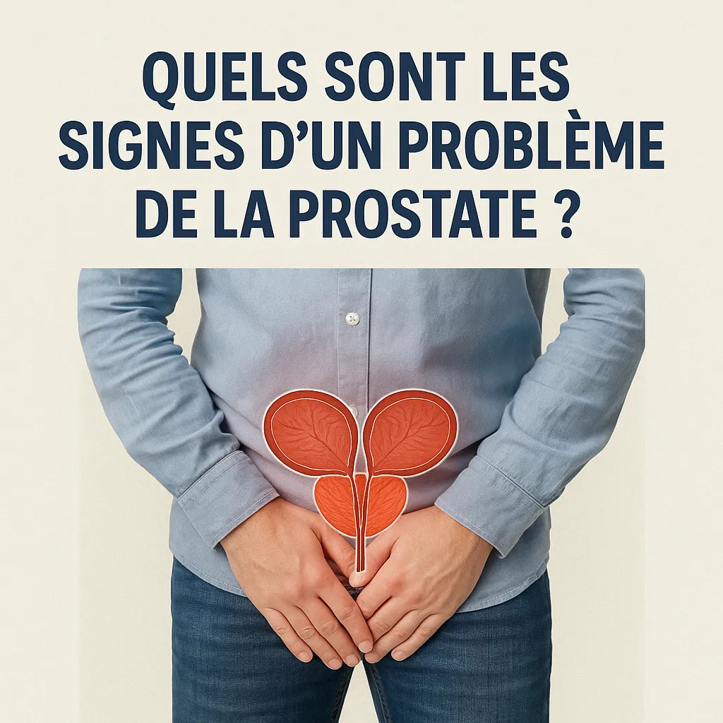 Quels Sont Les Signes D'Un Problème De La Prostate ?