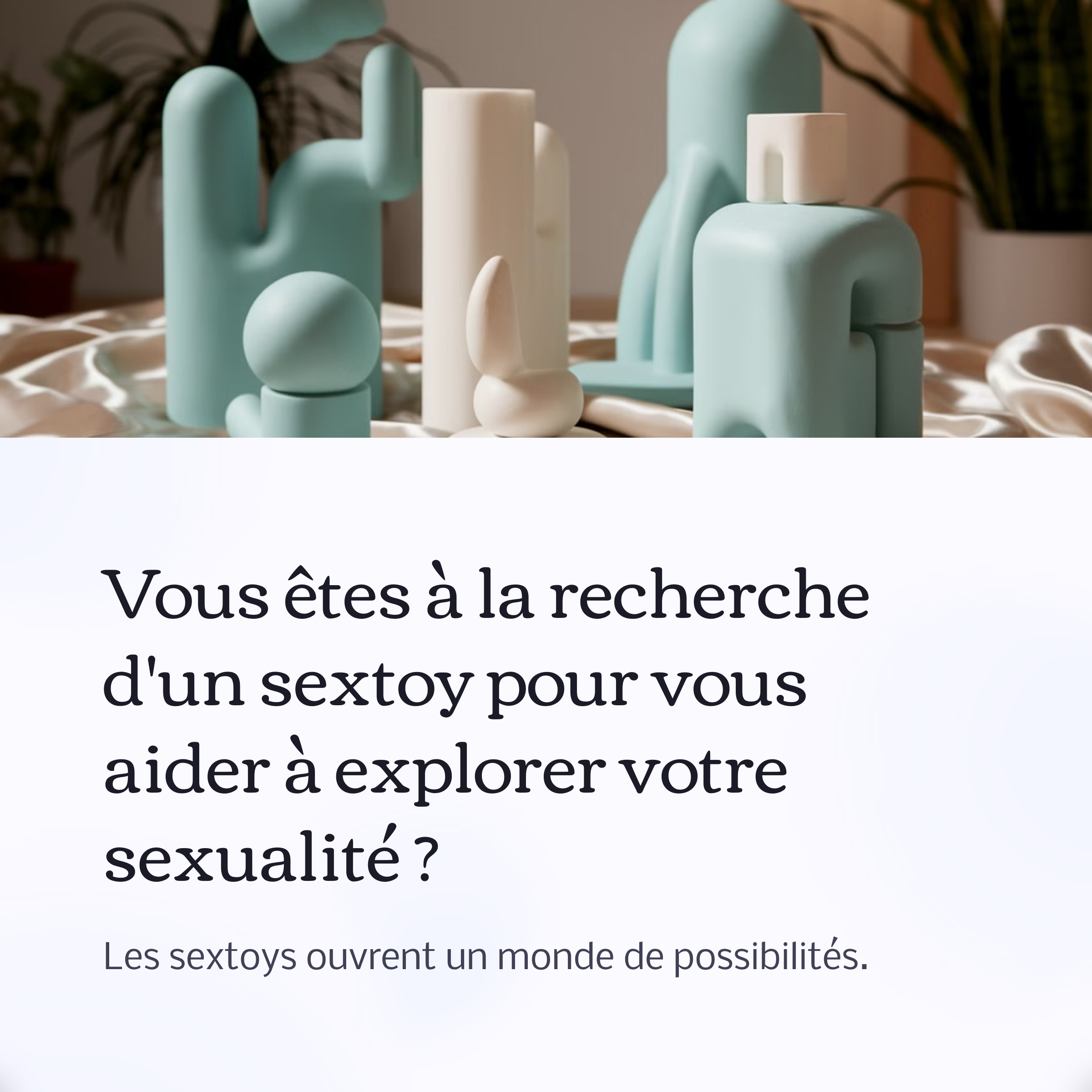 Quel Sextoy Pour Commencer?