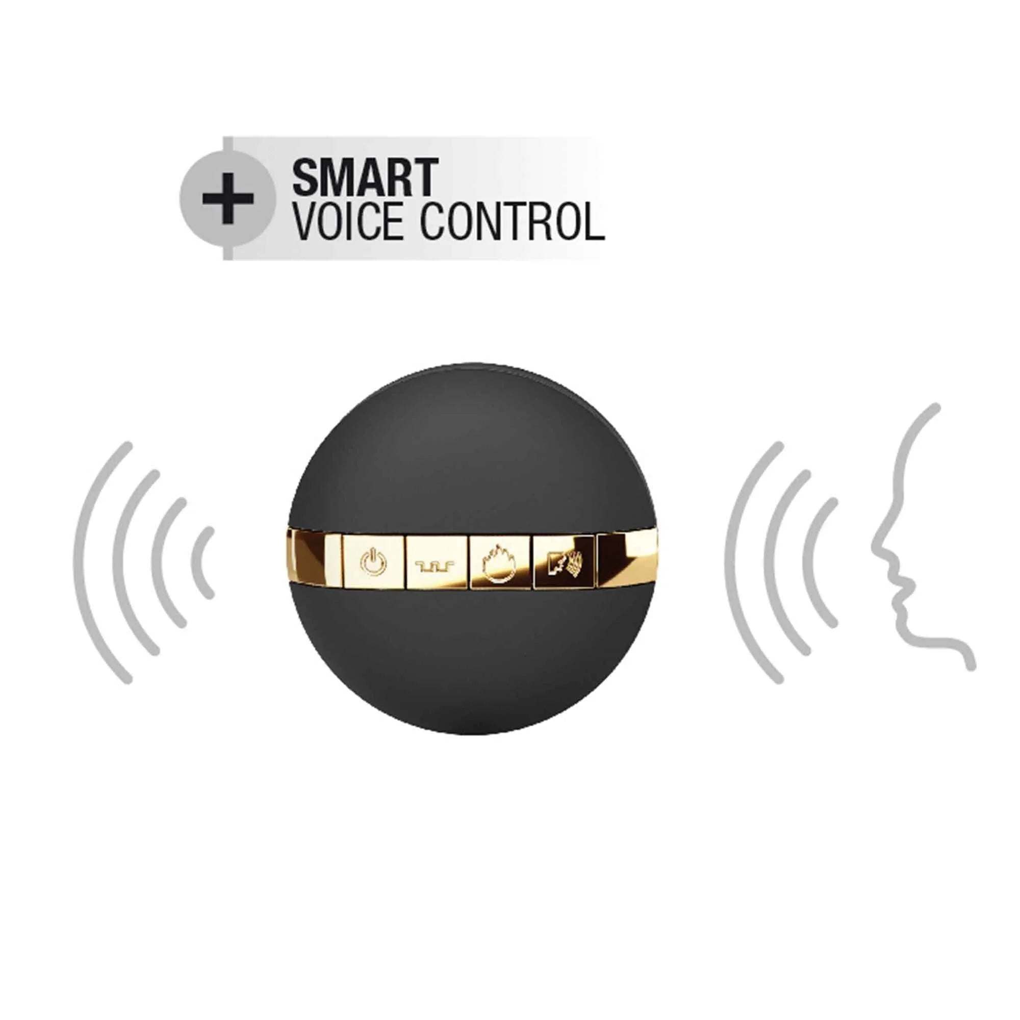 Oeuf vibrant télécommandé silicone sans phtalate contrôlé par voix 10 modes