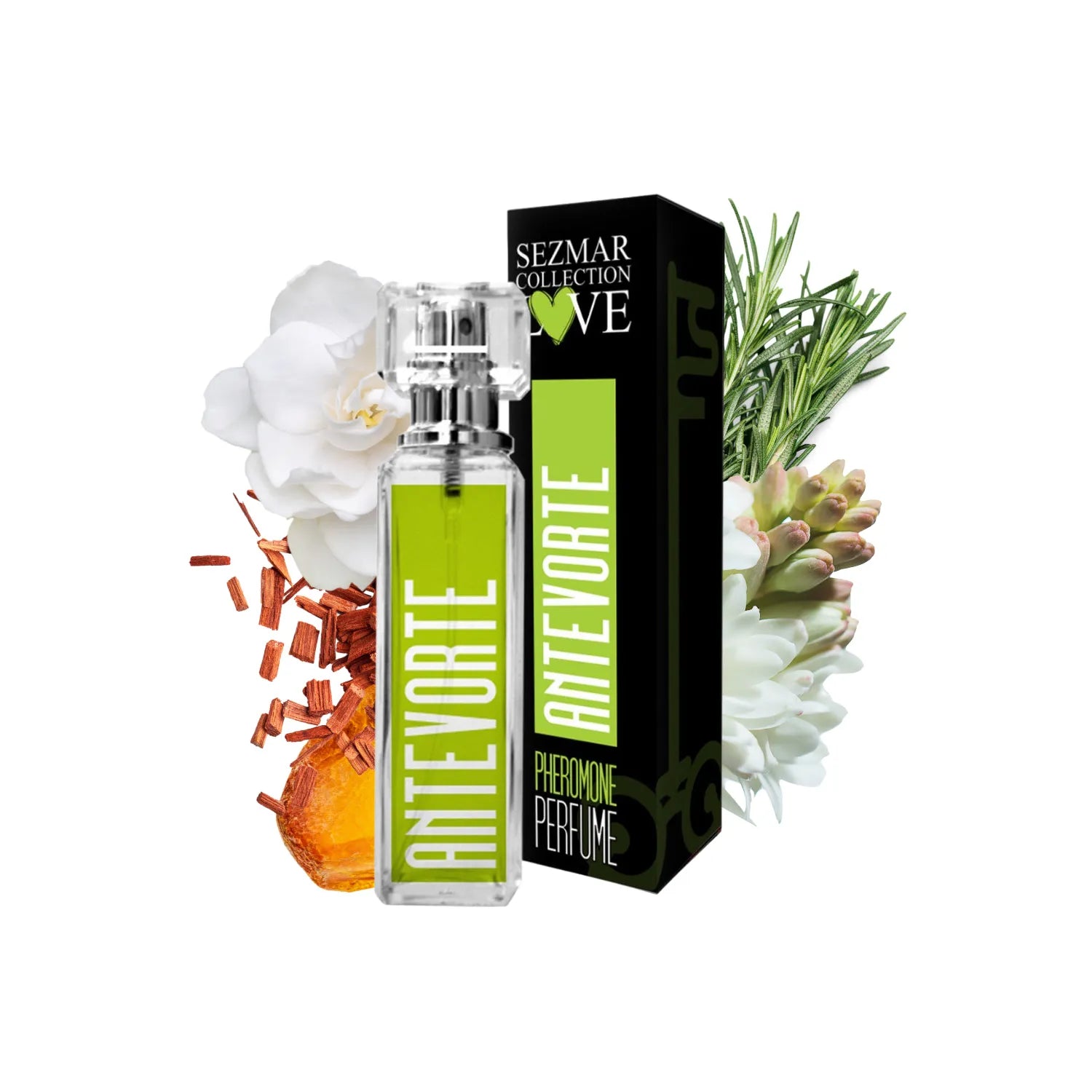 Parfum phéromones Antevorde bois de santal romarin 30ml luxe naturel