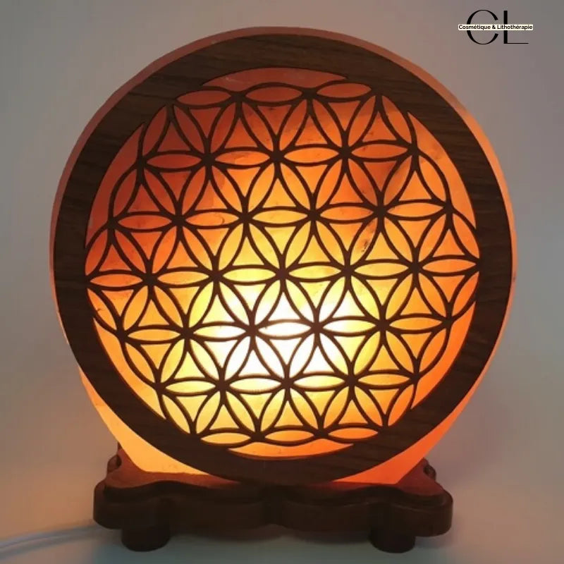 Lampe de sel Himalaya Fleur de Vie bien-être relaxation 5KG bois sculpté