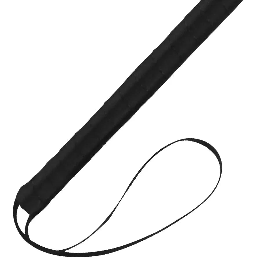 Plume noire érotique BDSM, manche fin et plume douce, accessoire sensuel pour jeux de rôle et préliminaires.