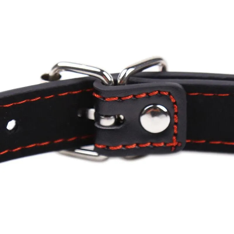 Accessoire Fétiche En Pvc Ohmama