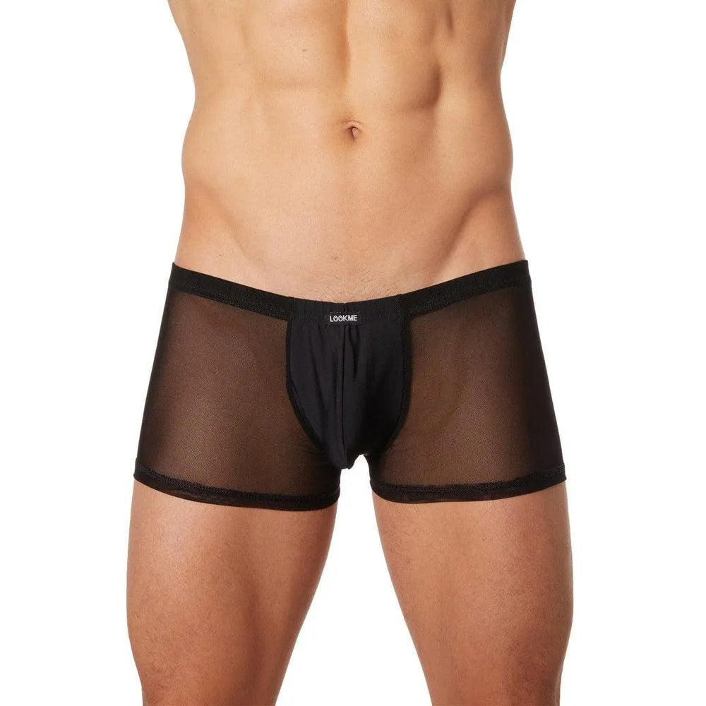 Beau Boxer Homme