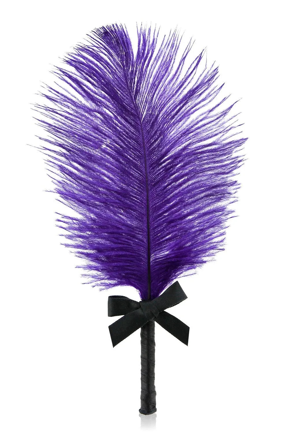 Petite plume de plaisir violette avec manche noir et nœud, accessoire sensuel de la Box Erotique RIANNE S.