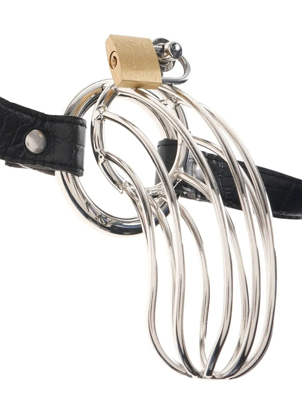 Cage à pénis en acier inoxydable poli, longueur 15 cm, Ø intérieur 3,5 cm, ceinture cuir motif serpent réglable.