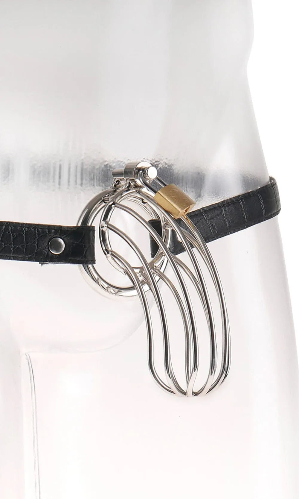 Cage à pénis en acier inoxydable poli, ceinture cuir motif serpent, longueur 15 cm, Ø intérieur 3,5 cm.