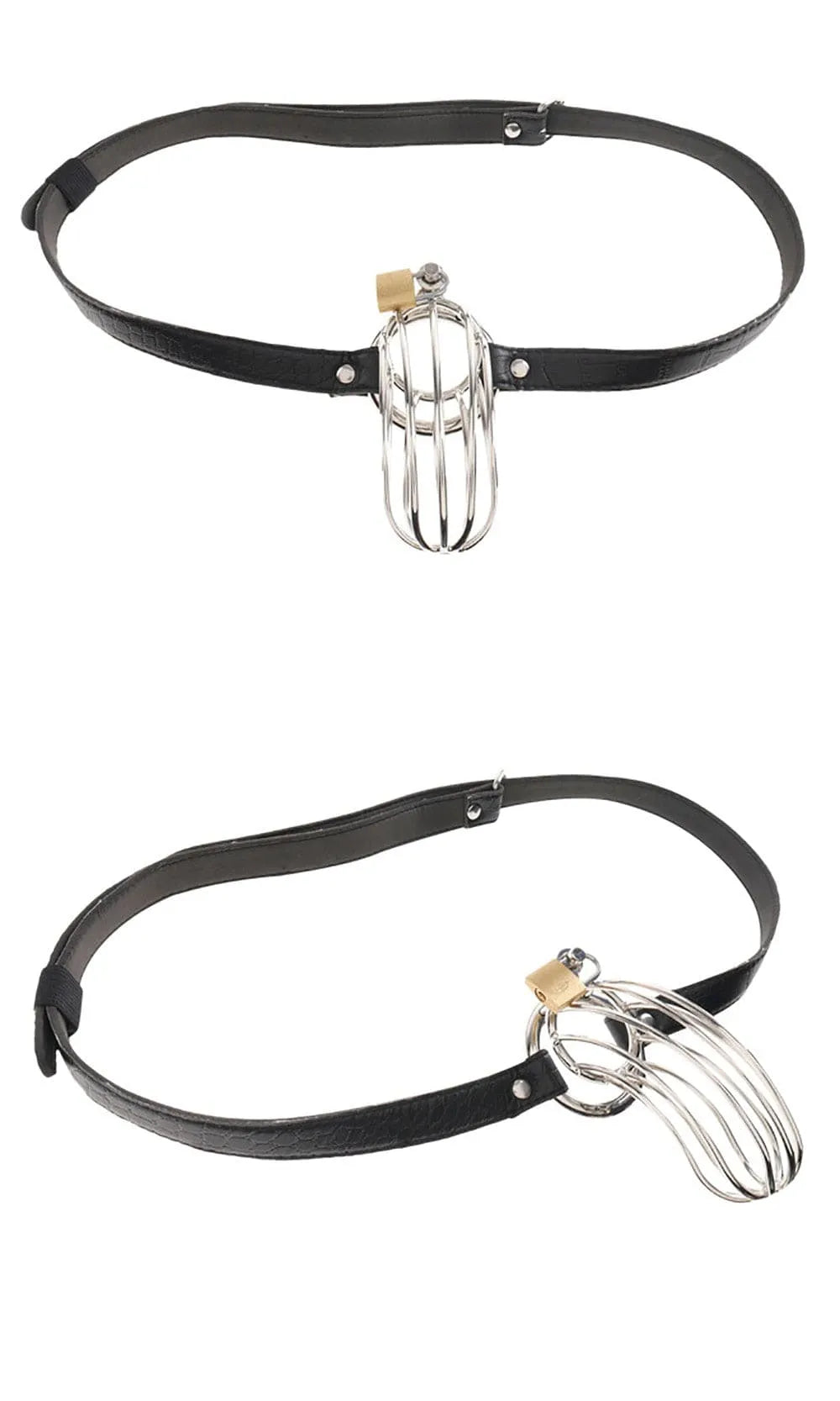 Cage à pénis en acier inoxydable poli, longueur 15 cm, Ø intérieur 3,5 cm, ceinture cuir motif serpent réglable.