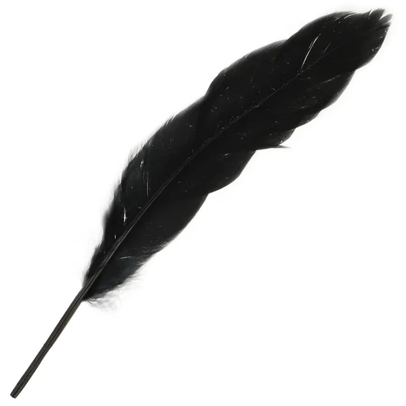 Plume noire sensuelle du Coffret Jeux Ohmama pour couples, idéale pour explorer de nouvelles sensations intimes.