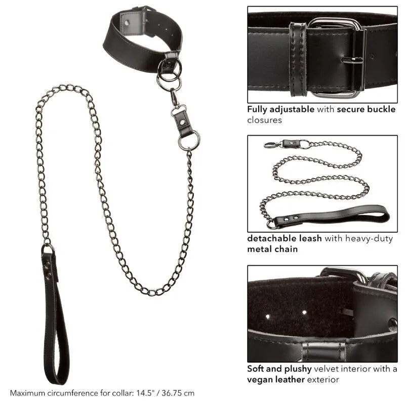 Collier BDSM en chaîne métal, cuir végétalien noir, boucle sécurisée, intérieur velours doux, laisse détachable.