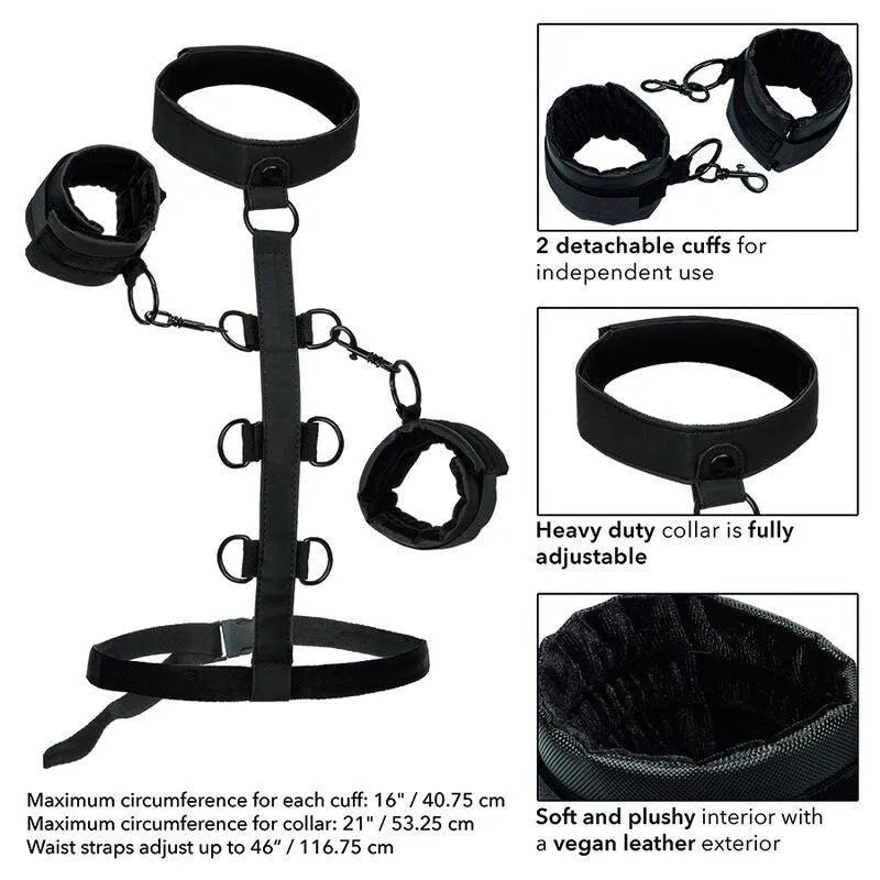 Collier De Retenue Bondage En Cuir Végétalien