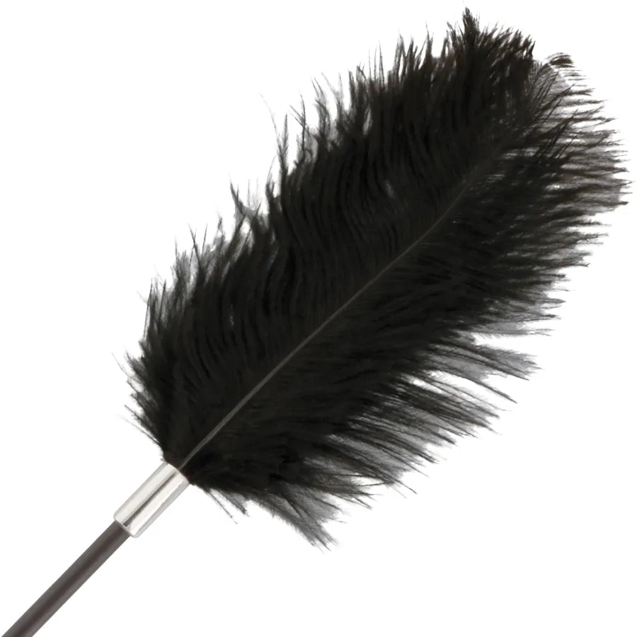 Cravache BDSM double face avec plume noire, 56cm, élégante et sensuelle pour moments intenses et caresses délicates.