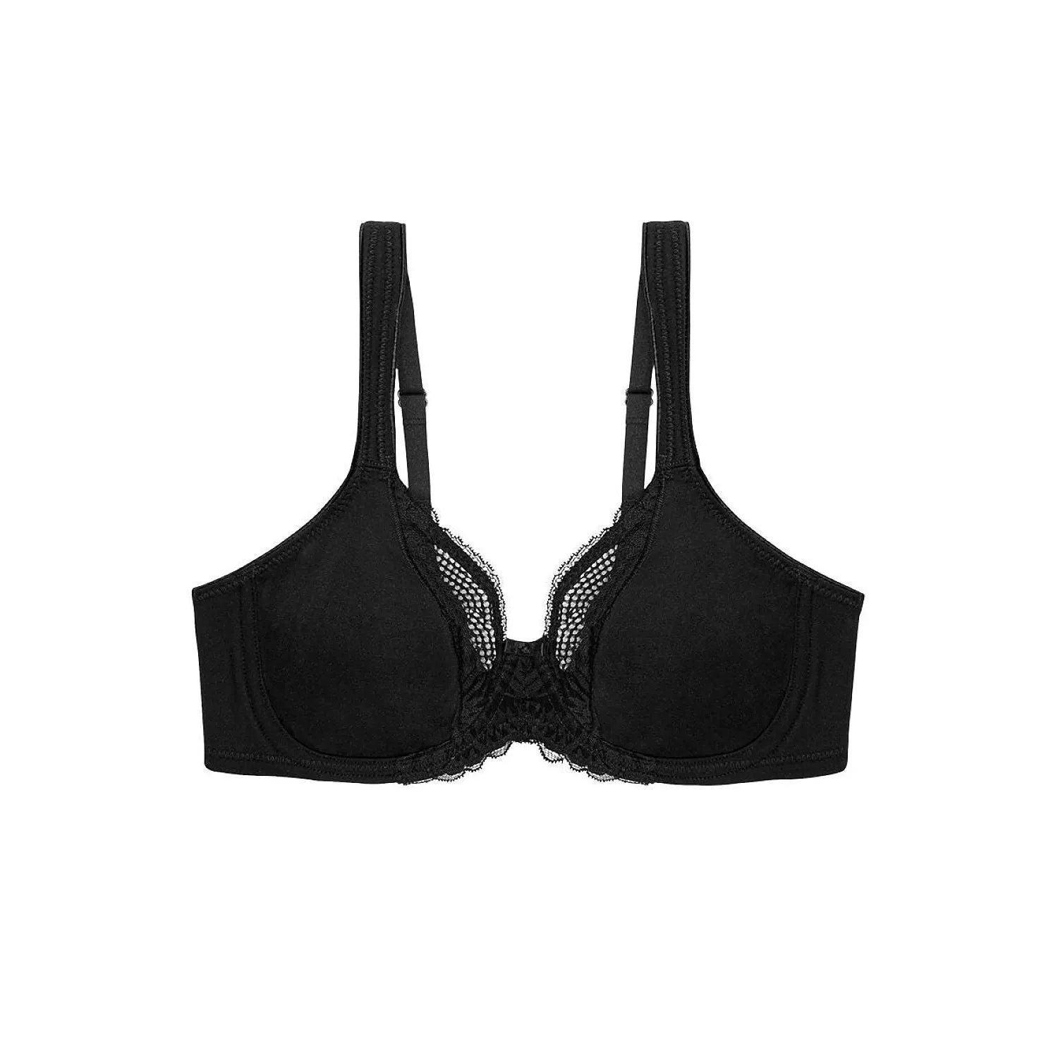 Soft model 229134 Triumph