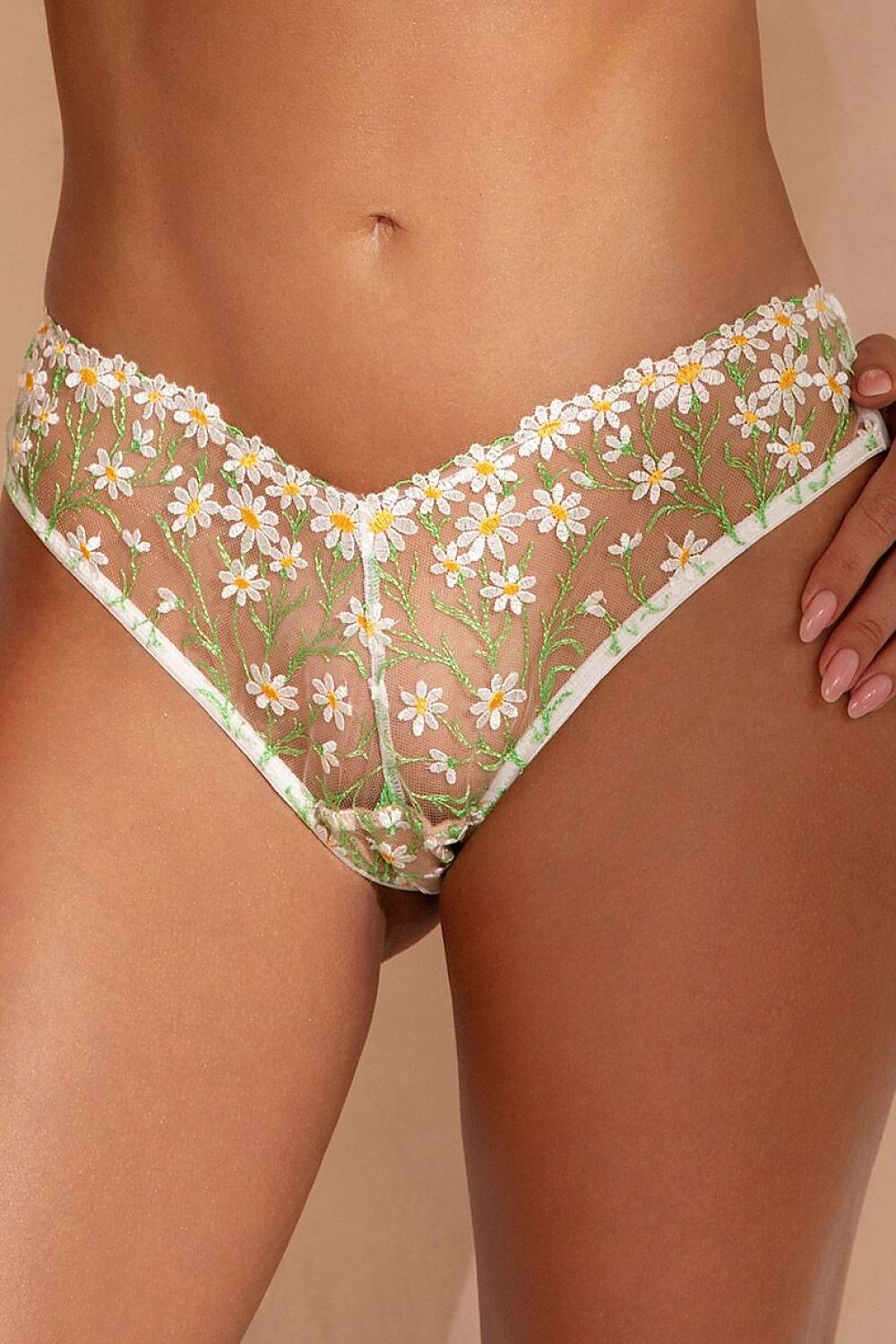 Culottes brésiliennes transparentes avec broderie florale camomille, finitions blanches, style romantique et élégant.