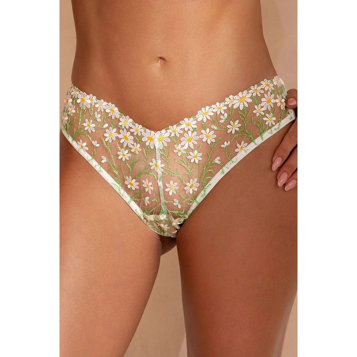 Culottes brésiliennes transparentes avec broderie florale camomille, finitions blanches, style romantique et élégant.