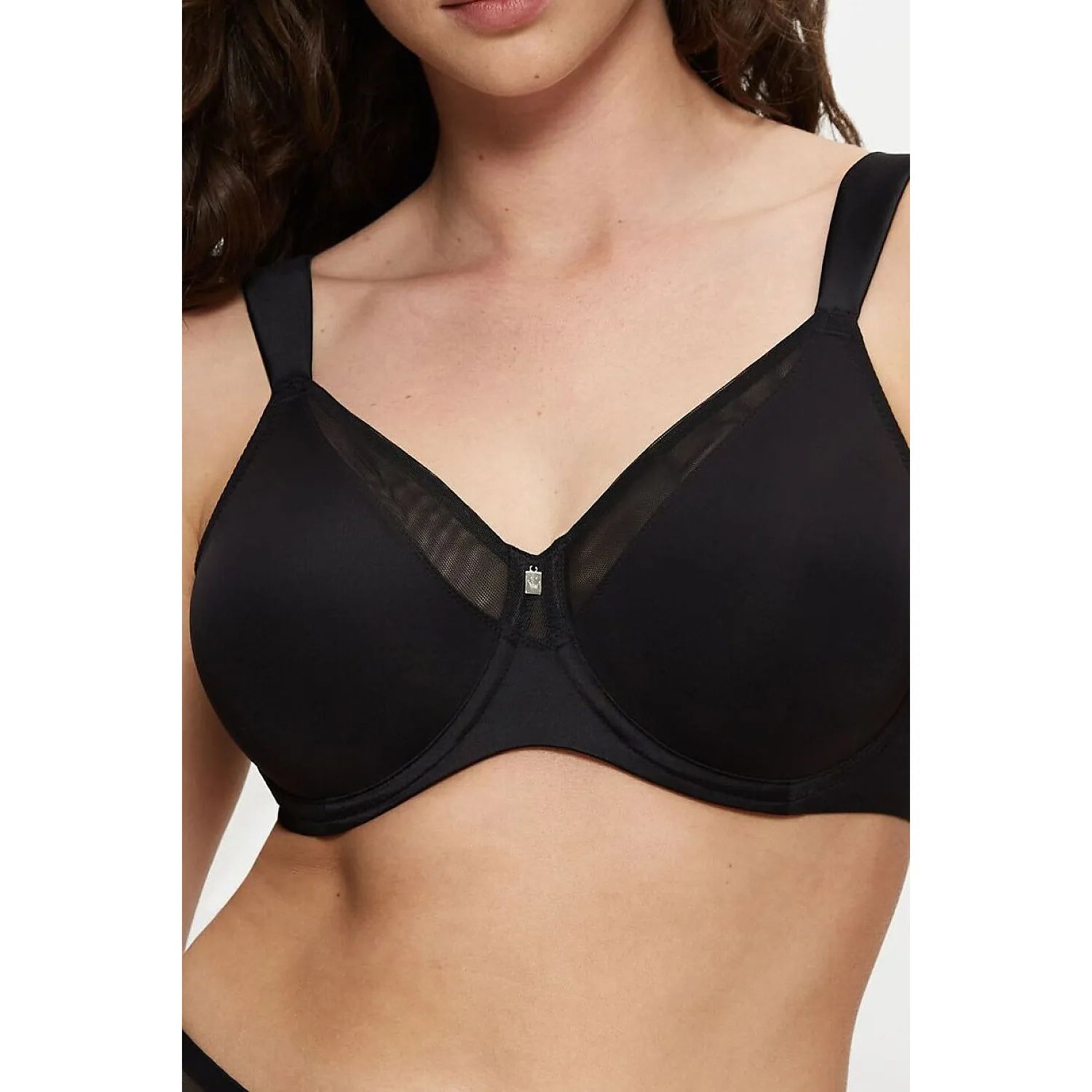 Soft model 229873 Triumph