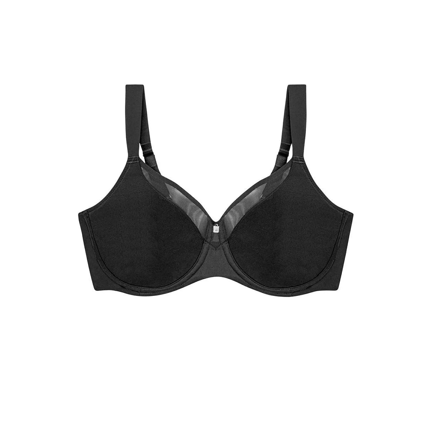 Soft model 229873 Triumph