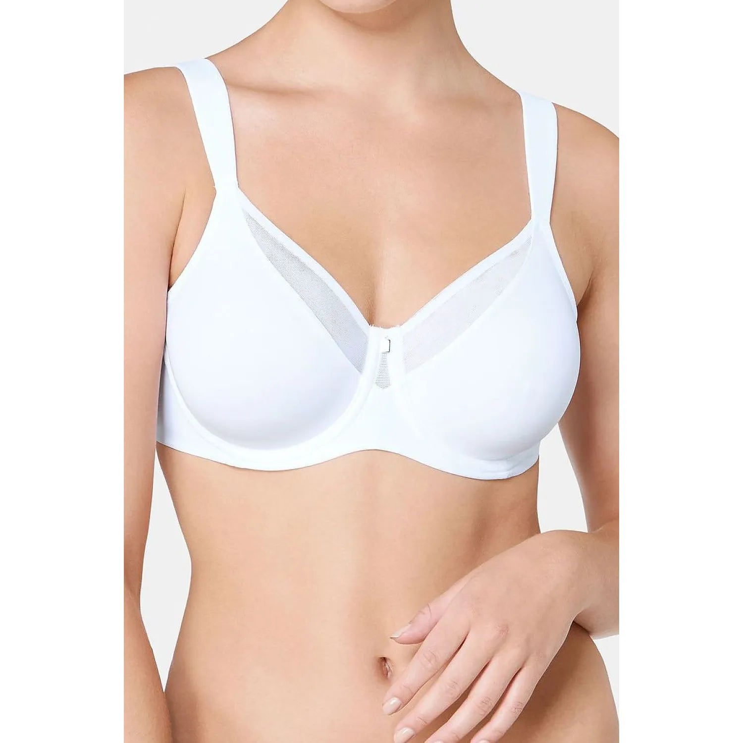 Soft model 229984 Triumph