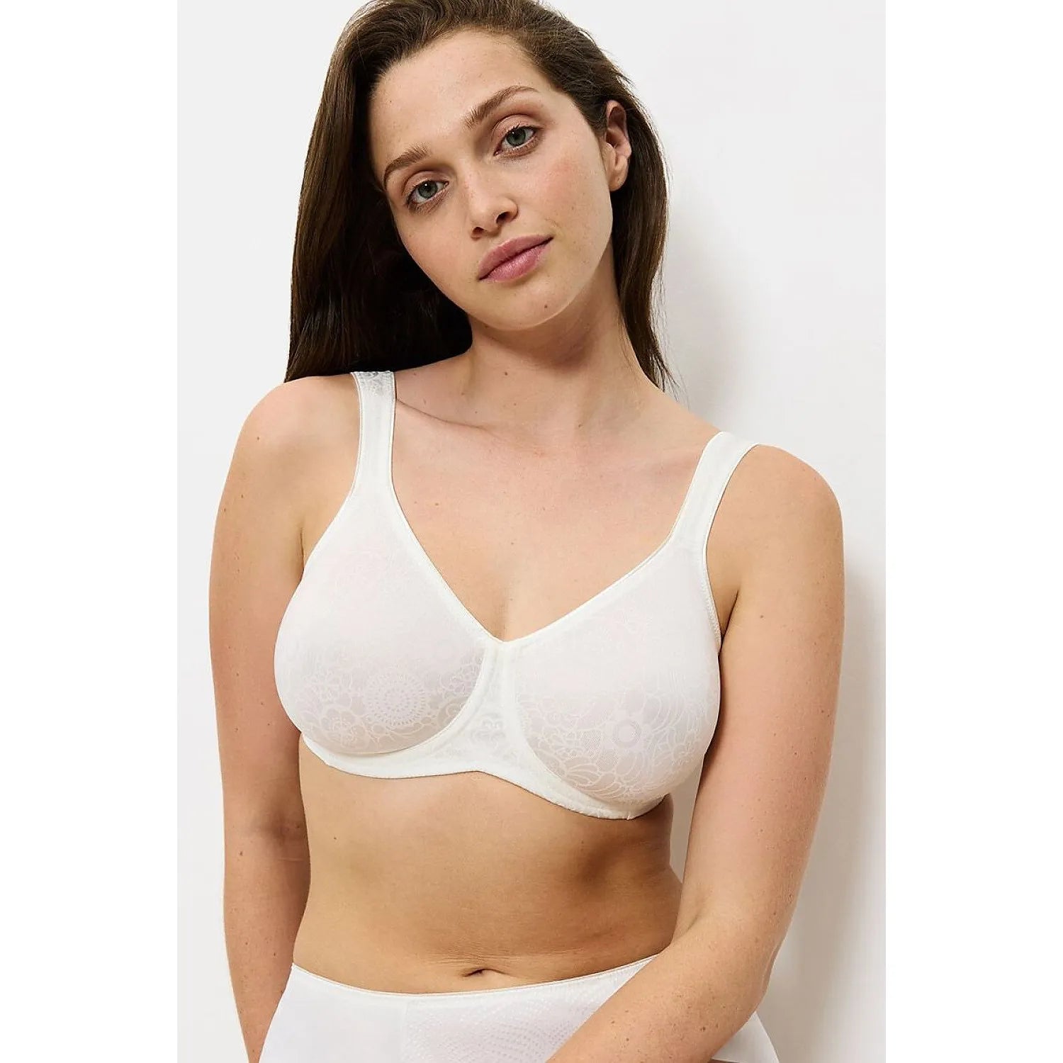 Soft model 229989 Triumph