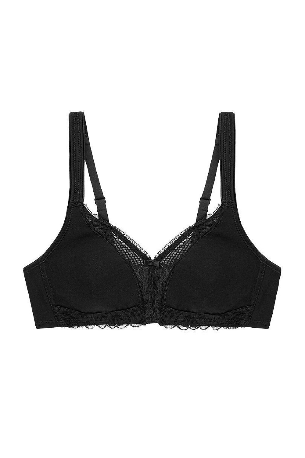 Soft model 229998 Triumph