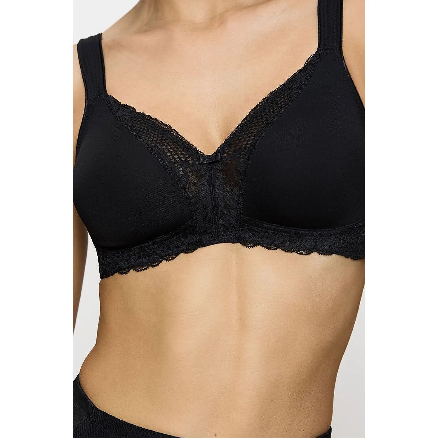 Soft model 229998 Triumph