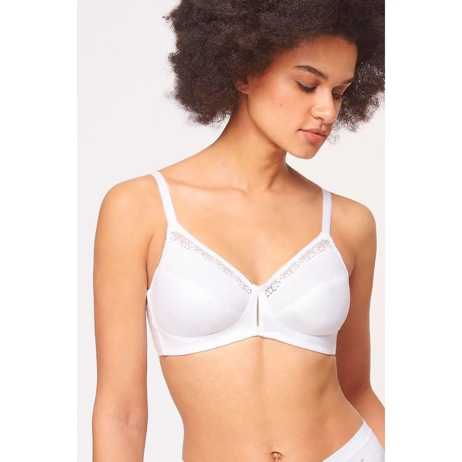 Soft model 230065 Triumph