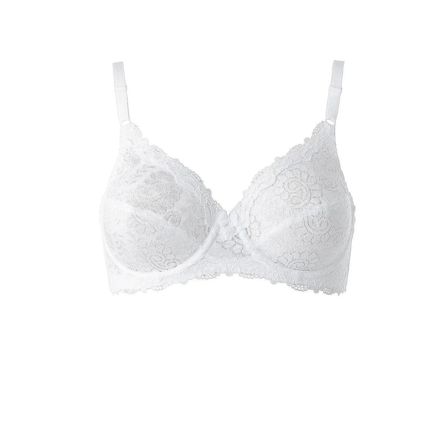 Soft model 230069 Triumph