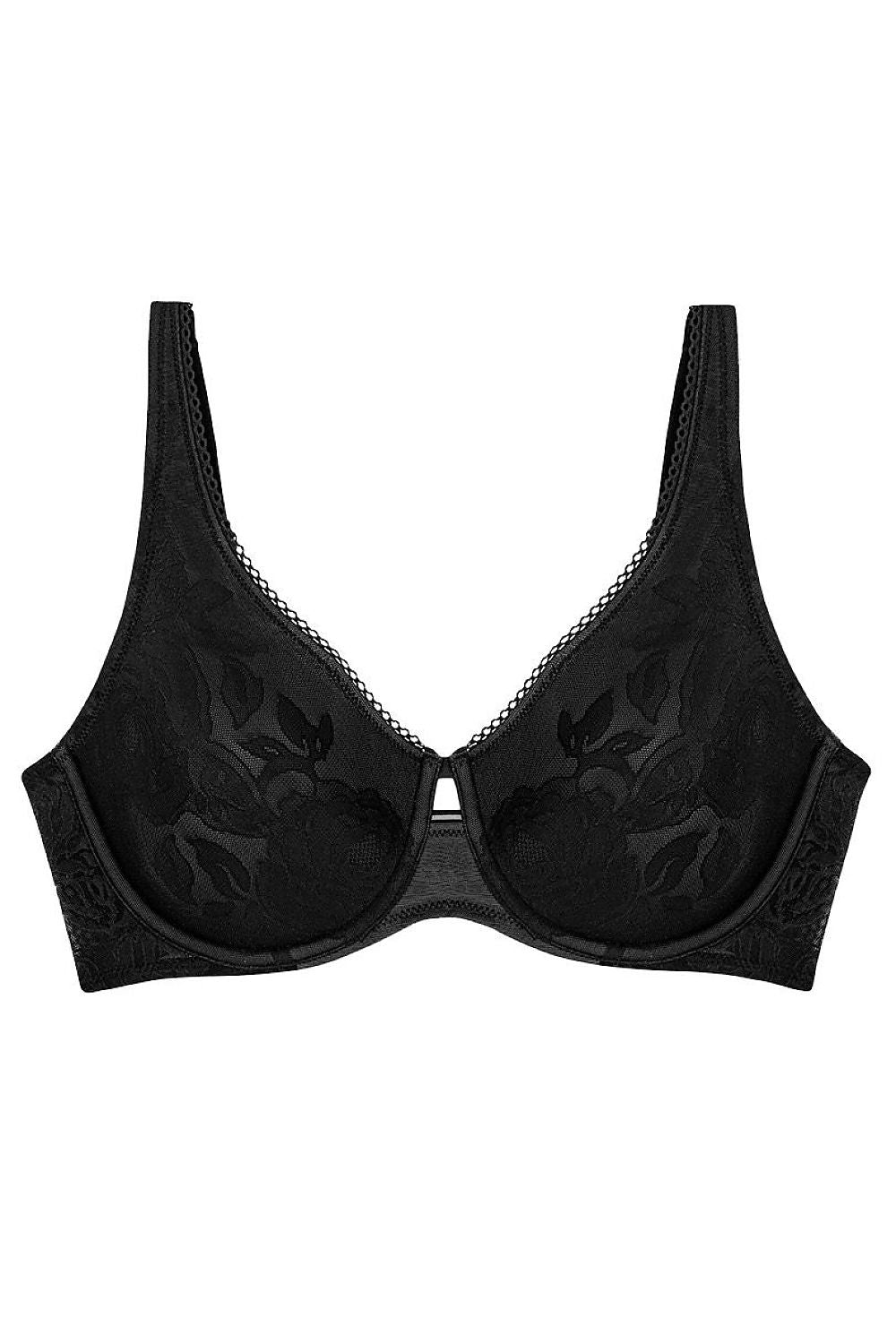 Soft model 230212 Triumph