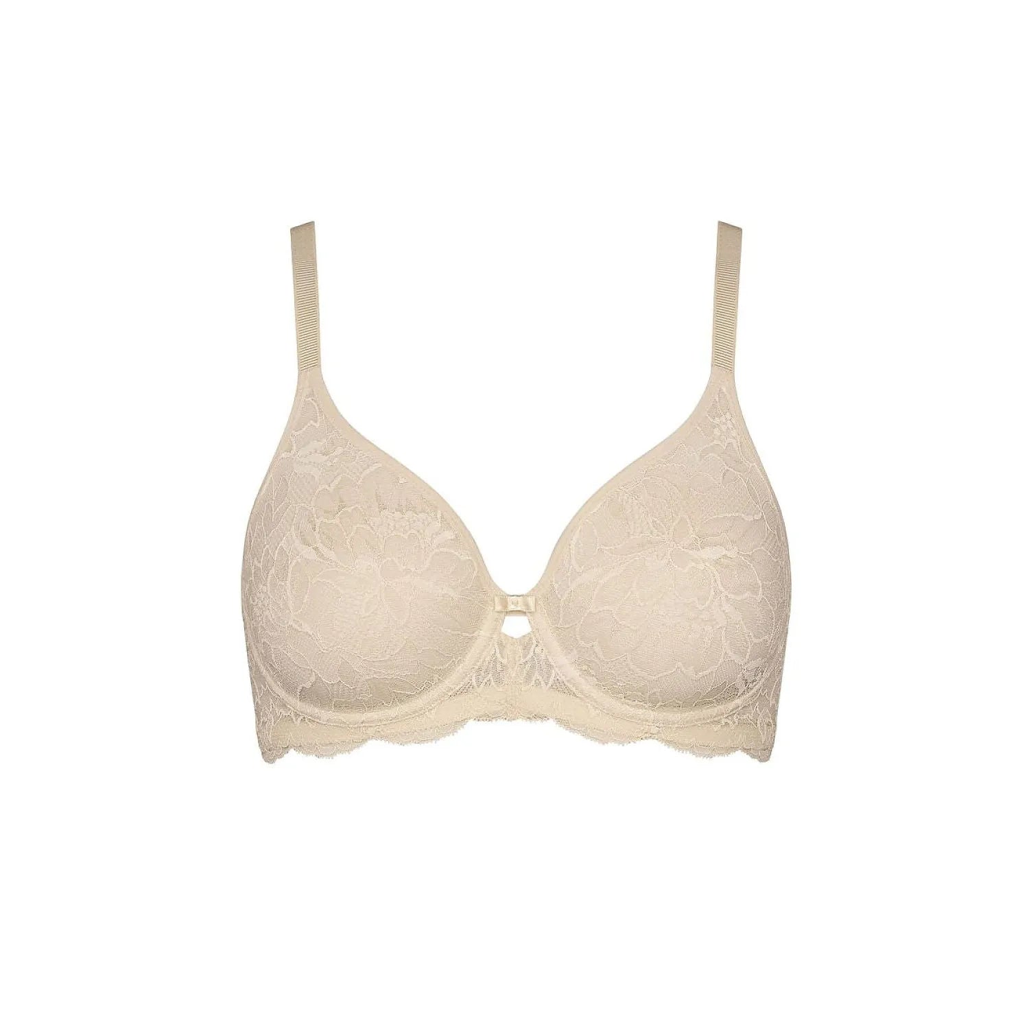 Soft model 230216 Triumph