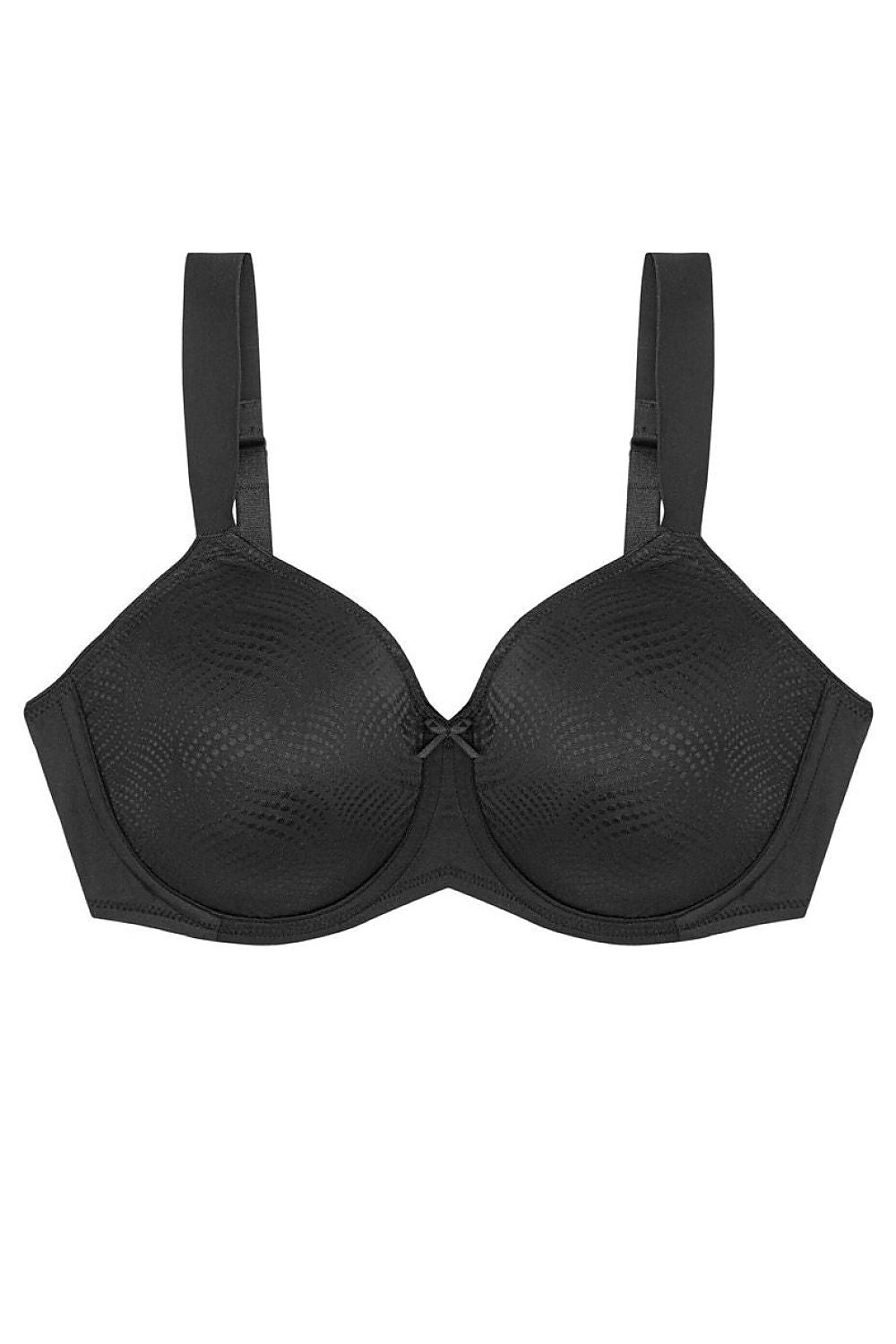 Soft model 230706 Triumph