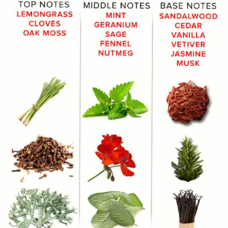 Eau de Cologne Phéromone Homme, flacon élégant, notes de citronnelle, clou de girofle, mousse de chêne, séduisant.