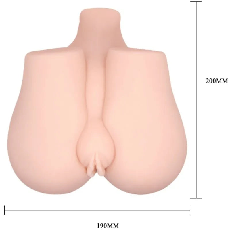 Fessier Anal