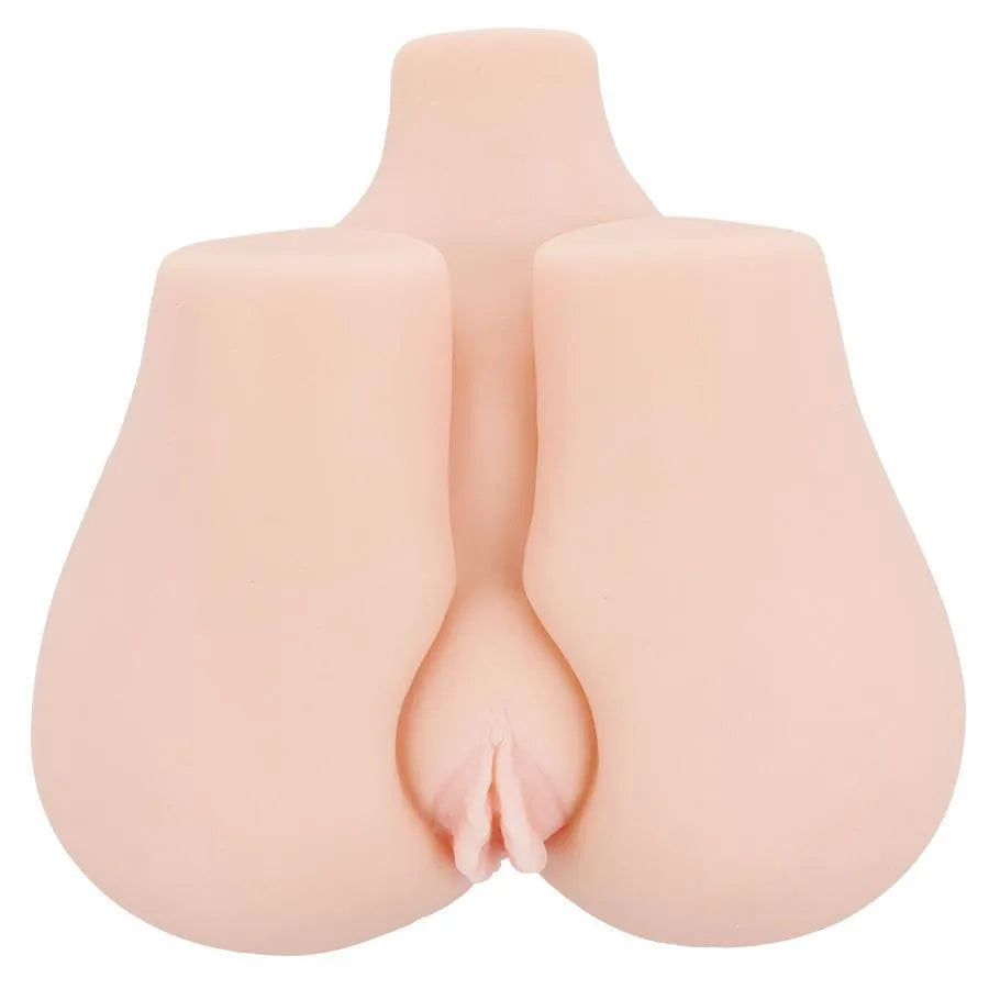 Fessier Anal
