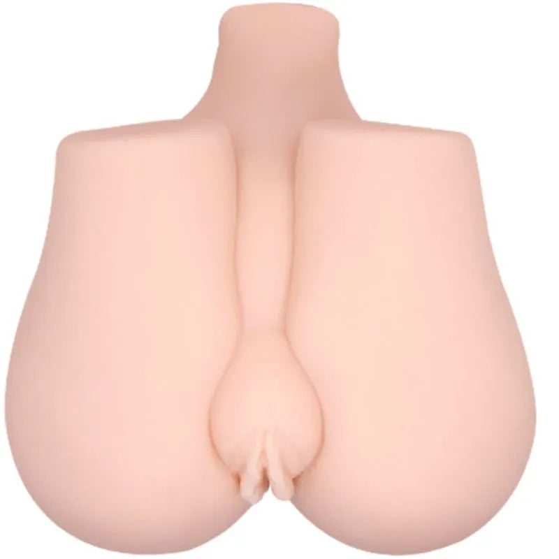 Fessier Anal