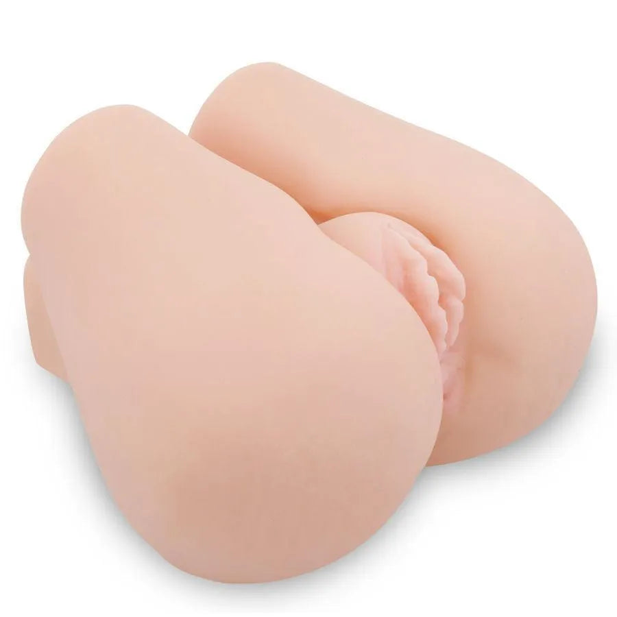 Fessier Anal