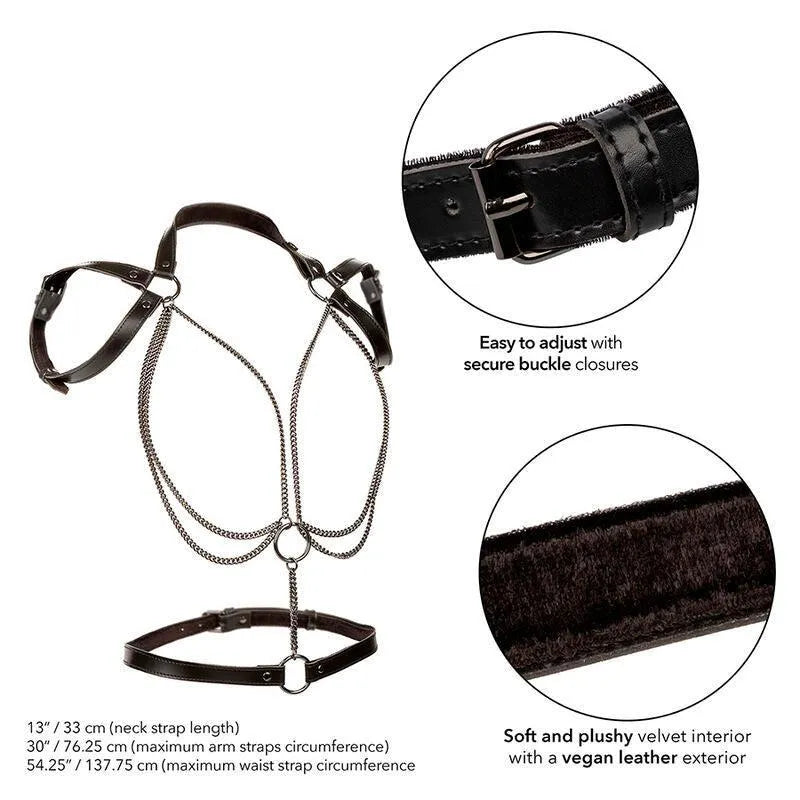 Harnais Licol Grande Taille Luxe Multi Chaînes