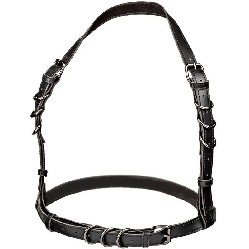 Harnais Licou Cuir Végétalien Taille Plus