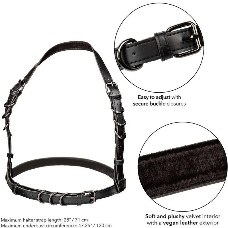 Harnais Licou Cuir Végétalien Taille Plus