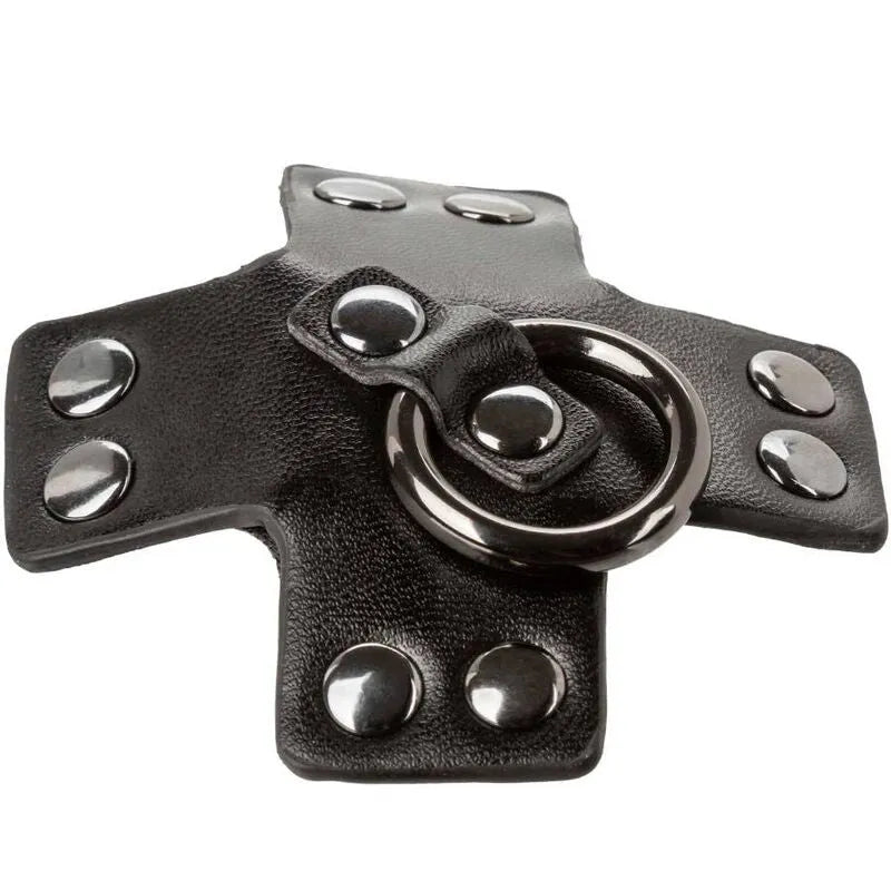 Cache-tétons noirs réutilisables avec joints toriques et rivets, design sophistiqué, accents métalliques, collection Eupho...