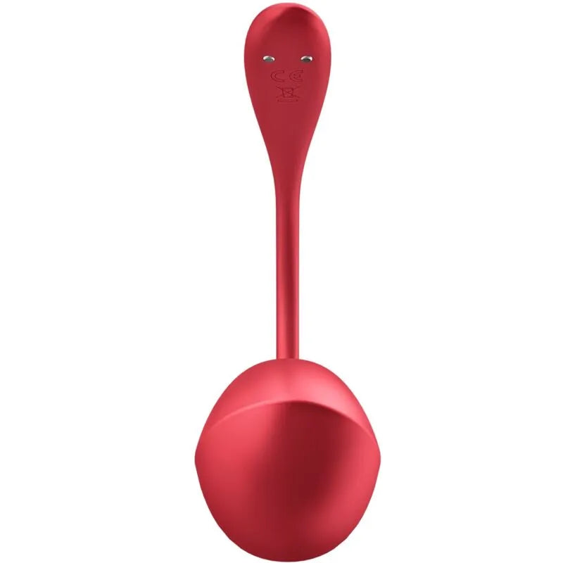 Stimulateur G-Spot portable à distance Satisfyer Shiny Petal, silicone doux, application gratuite, discret, idéal pour les déplacements et les couples