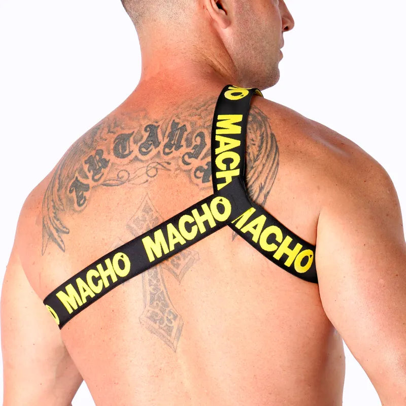 MACHO - HARNAIS ROMAIN JAUNE
