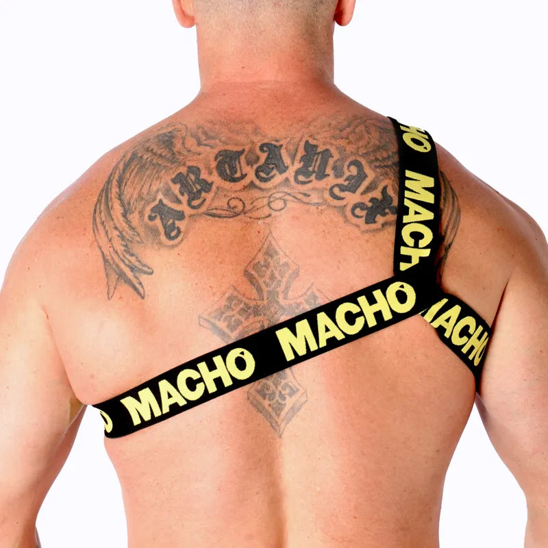 MACHO - HARNAIS ROMAIN JAUNE