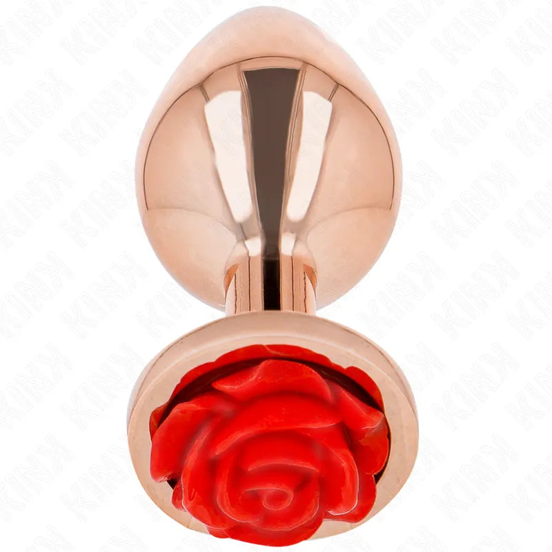 KINK - PLUG ANAL OR ROSE AVEC ROSE ROUGE