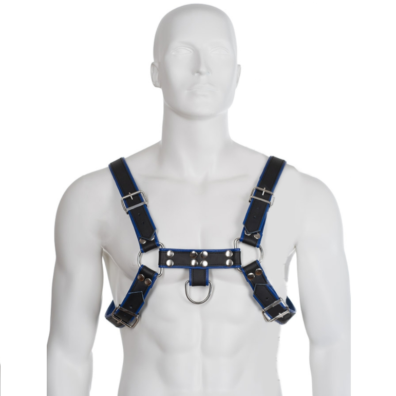 Leather Body - Harnais En Cuir Bleu Et Noir Poitrine Bulldog