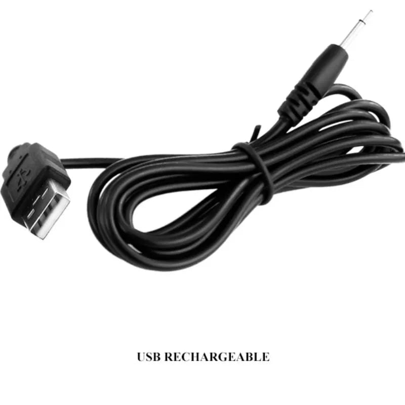 Masseur De Prostate Vibrant Rechargeable Usb