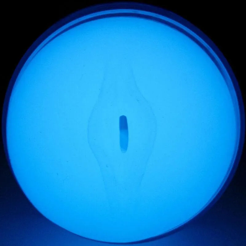 Masturbateur Lumineux Réaliste Kiiroo Feelglow