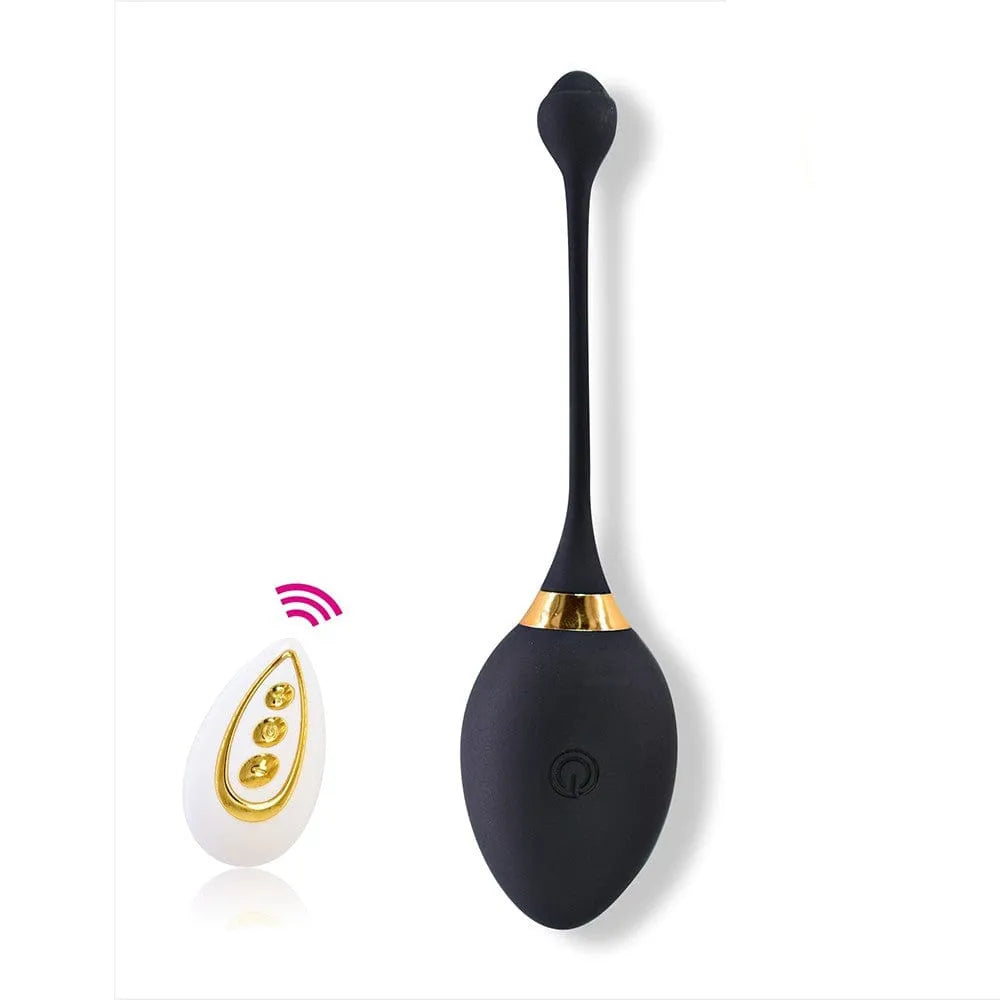 Oeuf Vibrant Noir Télécommande 10 Modes Silicone