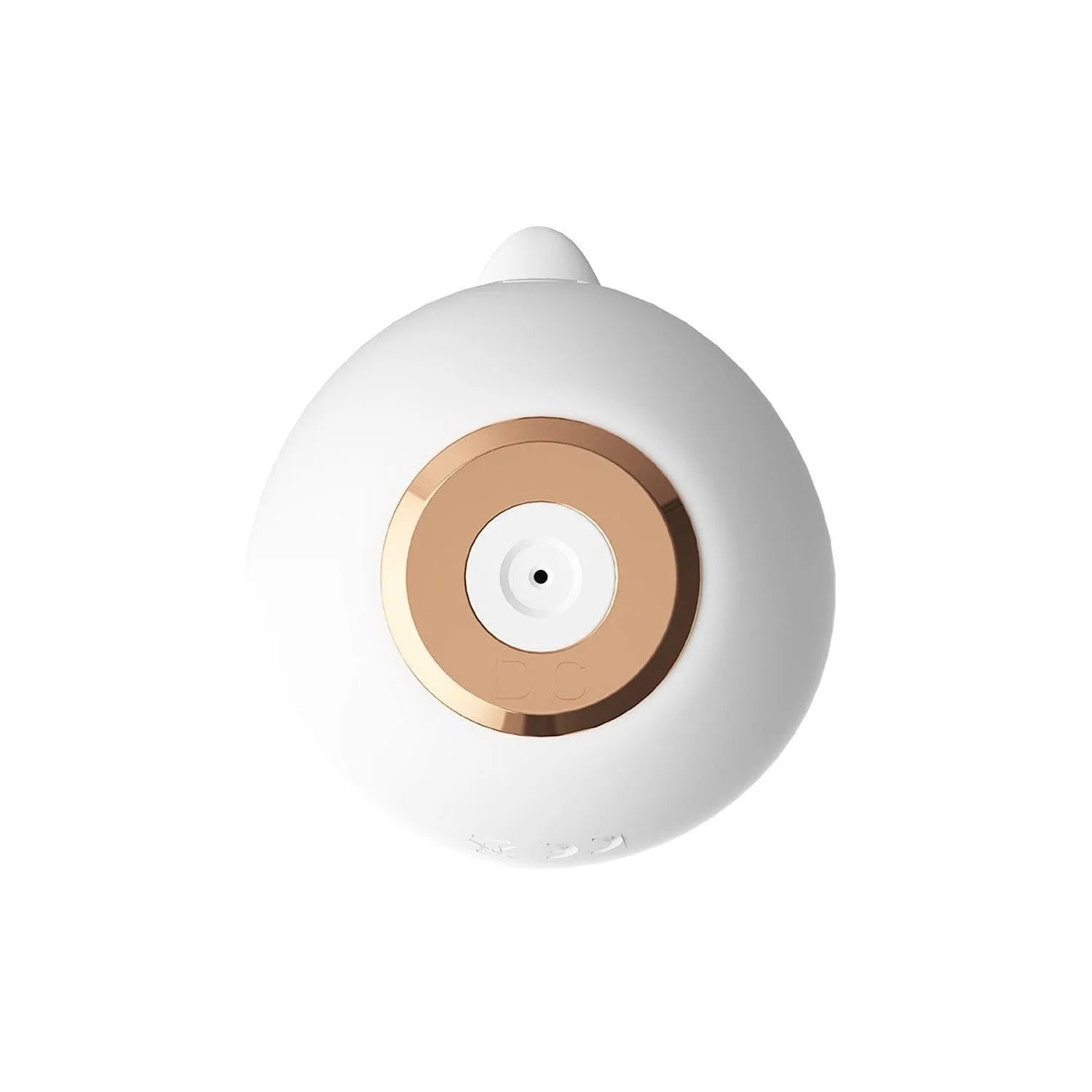 Petit Stimulateur Clitoridien Renard Vibrations Silencieuses