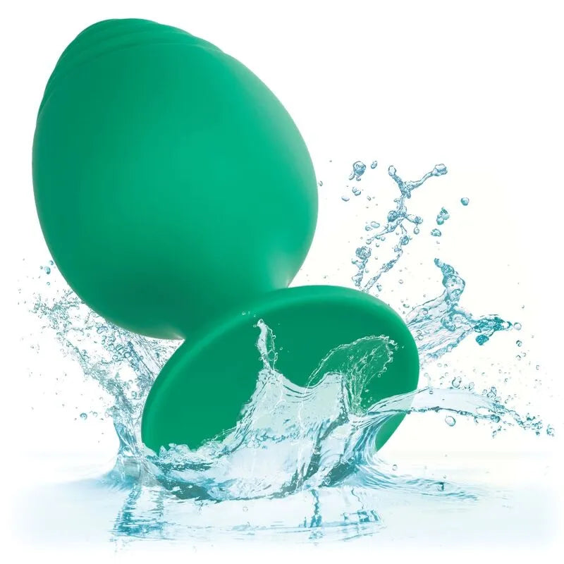 Plug Anal Silicone Base Ventouse